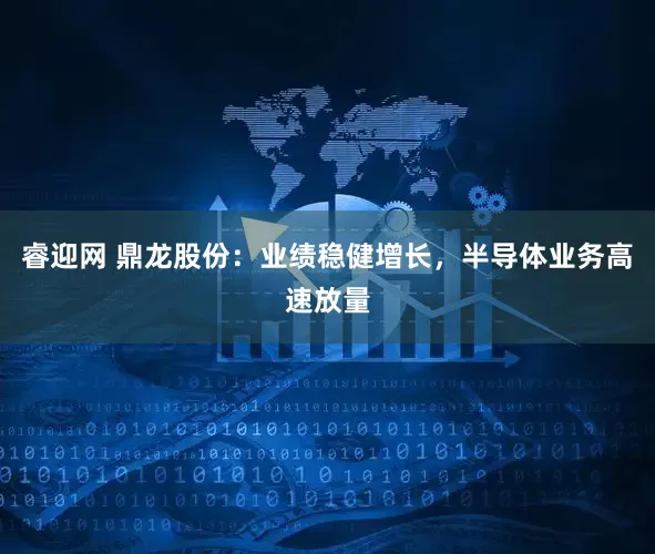 睿迎网 鼎龙股份：业绩稳健增长，半导体业务高速放量