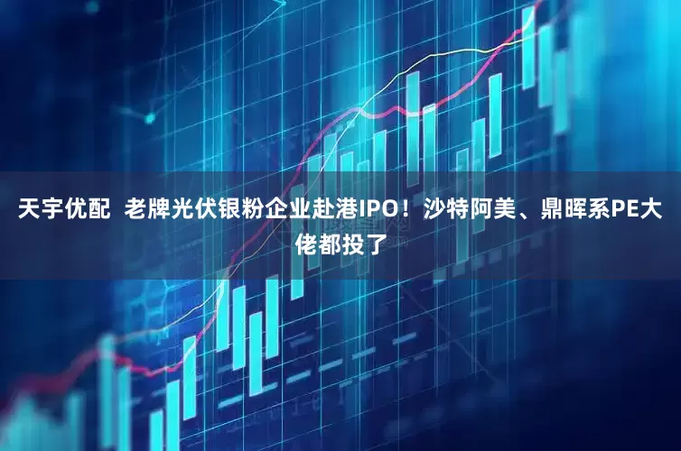 天宇优配  老牌光伏银粉企业赴港IPO！沙特阿美、鼎晖系PE大佬都投了