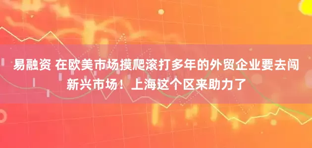 易融资 在欧美市场摸爬滚打多年的外贸企业要去闯新兴市场！上海这个区来助力了