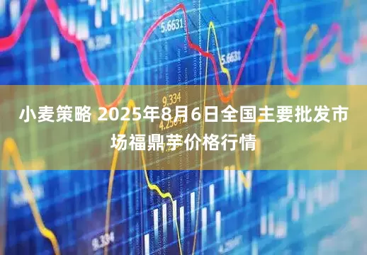小麦策略 2025年8月6日全国主要批发市场福鼎芋价格行情