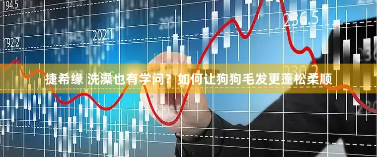 捷希缘 洗澡也有学问？如何让狗狗毛发更蓬松柔顺