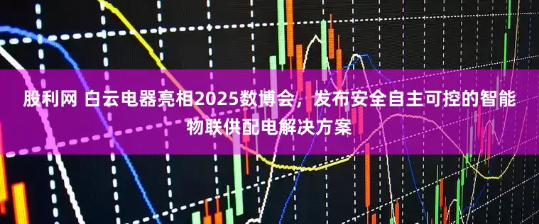 股利网 白云电器亮相2025数博会，发布安全自主可控的智能物联供配电解决方案
